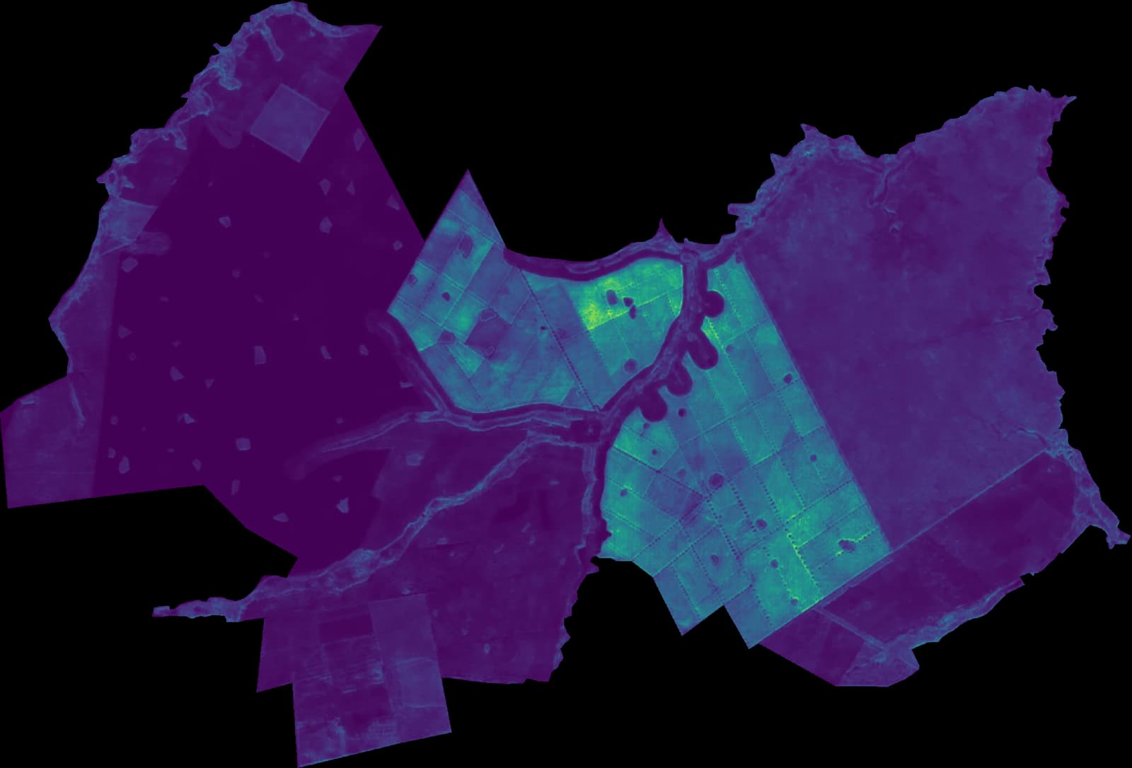 Mean biomass map of a whole project site from satellite data only, with its brightest, highest-biomass compartments in the centre