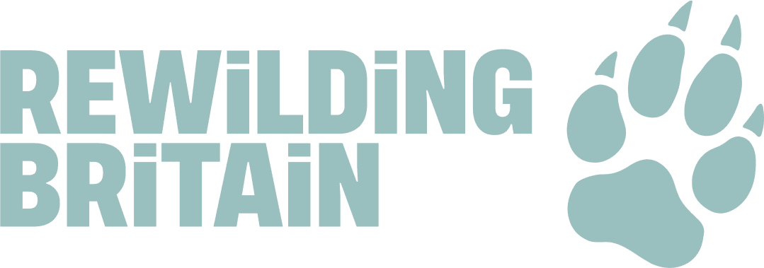 Rewilding Britain